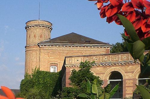 Botanischer Garten Karlsruhe