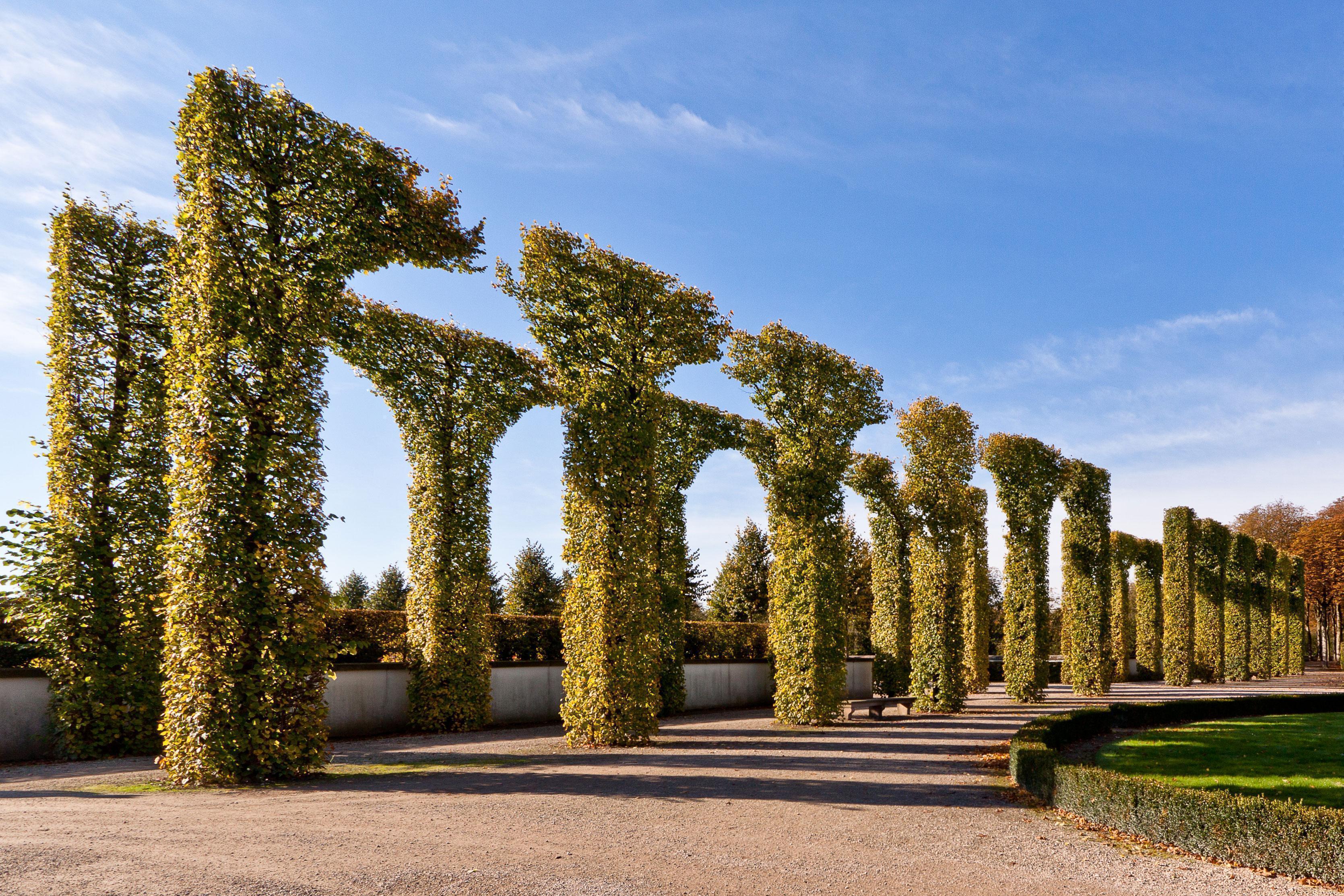 Schlossgarten Schwetzingen