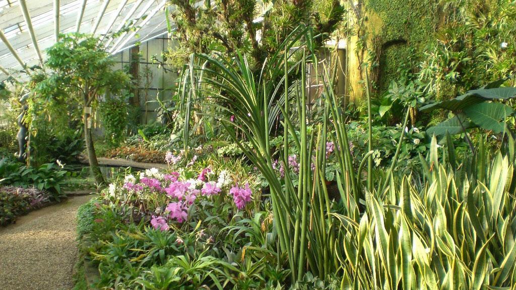 Warmhaus des Botanischen Gartens Karlsruhe