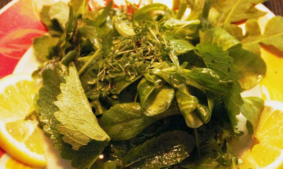 Foto: Staatsanzeiger für Baden-Württemberg GmbH & Co. KG, Sina Schröder Wildkräutersalat