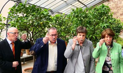 Botanischer Garten Karlsruhe, Kaffeeverkostung; Foto: Staatliche Schlösser und Gärten Baden-Württemberg, Stephan Hock