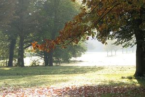 Herbst im Garten von Schloss Favorite Rastatt