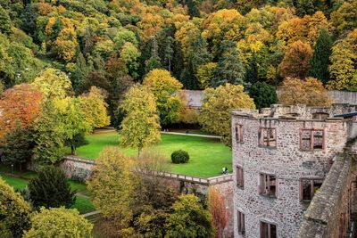 Schloss Heidelberg, herbstliche Bäume im Schlossgarten