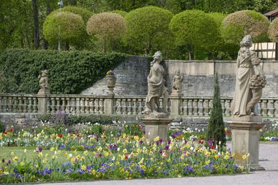 Schloss und Schlossgarten Weikersheim, Blühender Schlossgarten