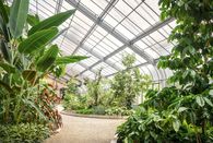 Gewächshaus Botanischer Garten Karlsruhe, Gewächshaus; Foto: Staatliche Schlösser und Gärten Baden-Württemberg, Günther Bayerl