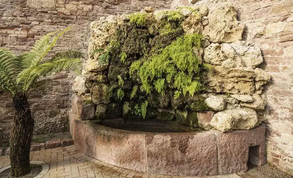 Botanischer Garten Karlsruhe, Kamelien- und Sukkulentenhaus, Tuffsteinbrunnen