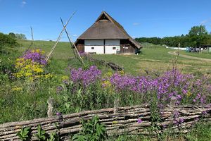 Heuneburg – Stadt Pyrene, naturbelassene Wiese mit rekonstruiertem Keltenhaus