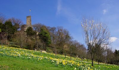 Kur- und Schlosspark Badenweiler, 