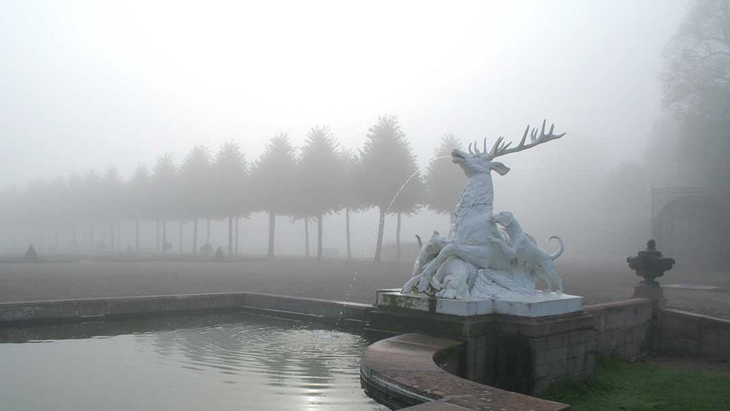 Hirschgruppe im Nebel, Schlossgarten Schwetzingen