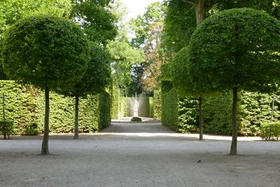 Schloss und Schlossgarten Schwetzingen, Angloise im Schlossgarten; Foto: Staatliche Schlösser und Gärten Baden-Württemberg; Henrike von Werder