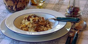 Grünkern-Pilz Risotto