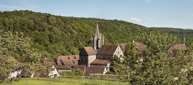 Kloster und Schloss Bebenhausen, Außen, Gesamtanlage aus Entfernung