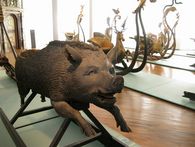 Der Wildschweinschlitten der Schlittensammlung Wildschweinschlitten der Schlittensammlung im Residenzschloss Urach