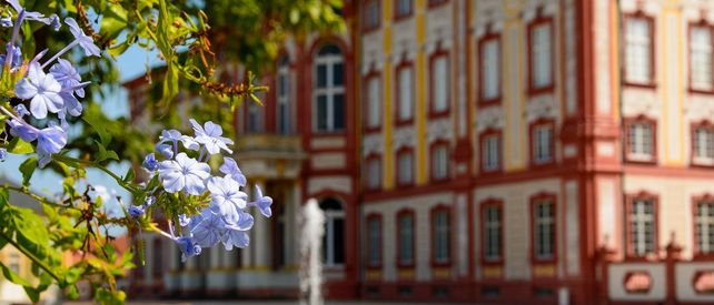 Schloss Bruchsal, Blüten vor der Schlossfassade