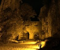 Foto: Staatsanzeiger für Baden-Württemberg, Petra Schaffrodt Burggraben als Winterquartier der Fledermäuse
