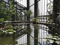 Botanischer Garten Karlsruhe Botanischer Garten Karlsruhe, Innen; Foto: Staatsanzeiger für Baden-Württemberg GmbH & Co. KG, Eva Kobelt