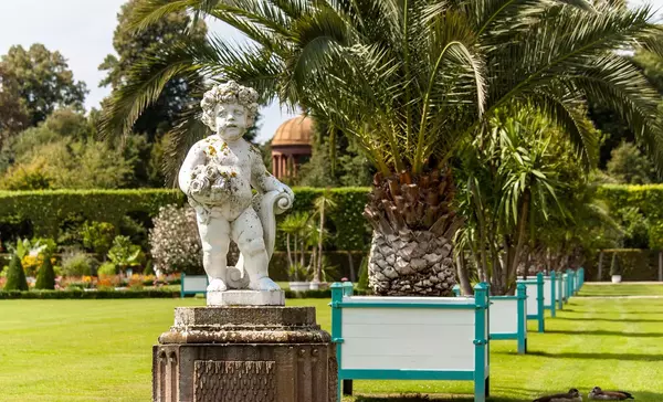 Schloss und Schlossgarten Schwetzingen, Ananas