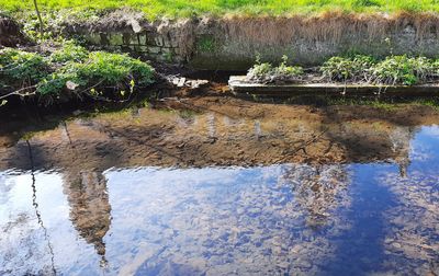 Kloster Ochsenhausen, Reflexion des Klosters im Krummbach