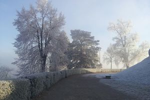 Weihnachtsstimmung auf dem Württemberg