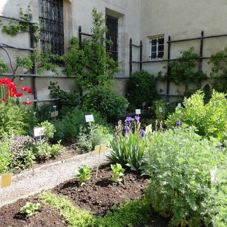 Der Kräutergarten im Kloster Bebenhausen