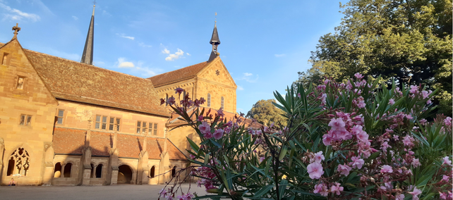 Kloster Maulbronn, Außenansicht mit blühendem Oleander 