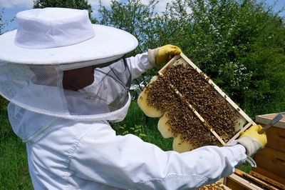 Schloss Bruchsal, Imker mit Bienenwabe; Foto: Staatliche Schlösser und Gärten Baden-Württemberg, Christina Ebel