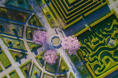 Labyrinth im Schlossgarten Salem