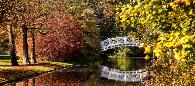 Schloss und Schlossgarten Schwetzingen, Schlossgarten im Herbst 