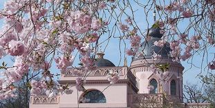 Moschee im Schlossgarten Schwetzingen