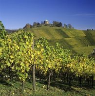 Aussenansicht der Grabkapelle Grabkapelle auf dem Württemberg