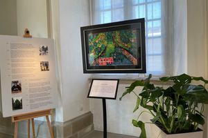Residenzschloss Ludwigsburg, Blick in die Ausstellung „Hundertwasser – Liebe zur Natur“