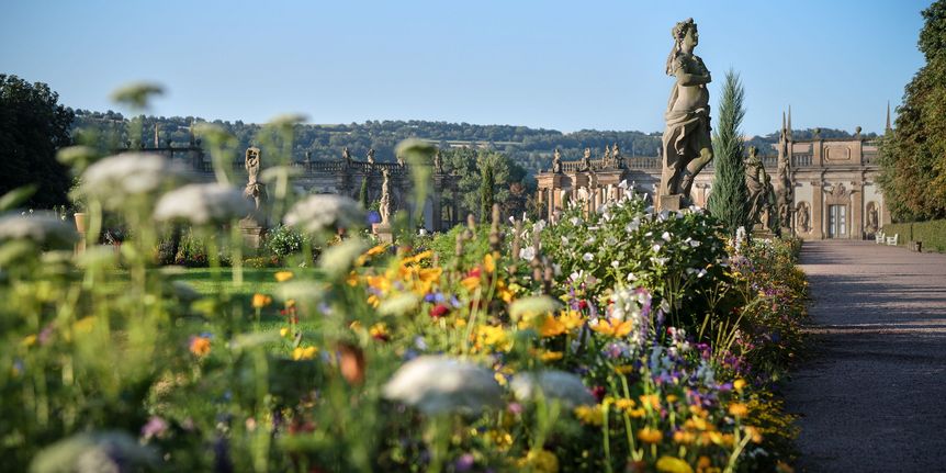 Schloss und Schlossgarten Weikersheim, Außen, Garten im Sommer