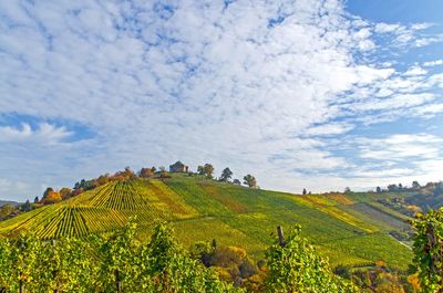 Grabkapelle auf dem Württemberg, Aussen Herbst; Foto: Staatliche Schlösser und Gärten Baden-Württemberg, Norbert Stadler