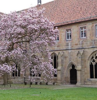 Kloster Maulbronn. Kreuzgarten