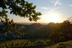 Grabkapelle auf dem Württemberg, Sonnenuntergang