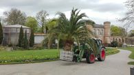 Botanischer Garten Karlsruhe, Frühjahr; Foto: Staatliche Schlösser und Gärten Baden-Württemberg, Thomas Huber Botanischer Garten Karlsruhe, Frühjahr; Foto: Staatliche Schlösser und Gärten Baden-Württemberg, Thomas Huber