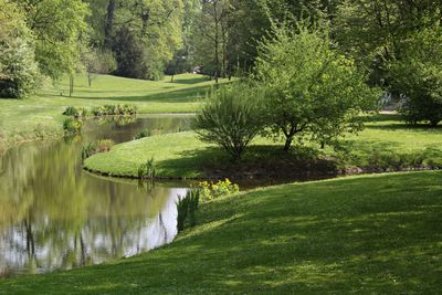 Schloss und Schlossgarten Schwetzingen, Arborium