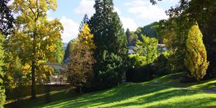 Kur- und Schlosspark Badenweiler