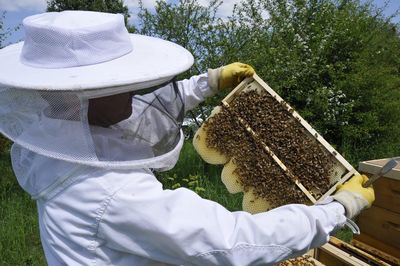 Schloss Bruchsal, Imker mit Bienenwabe; Foto: Staatliche Schlösser und Gärten Baden-Württemberg, Christina Ebel