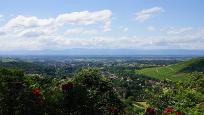 Kurpark Badenweiler, Panorama-Luftaufnahme