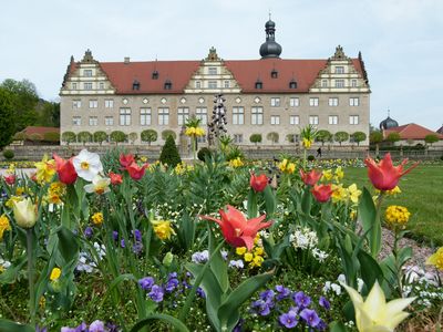 Schlossgarten Weikersheim in voller Frühjahrsblüte