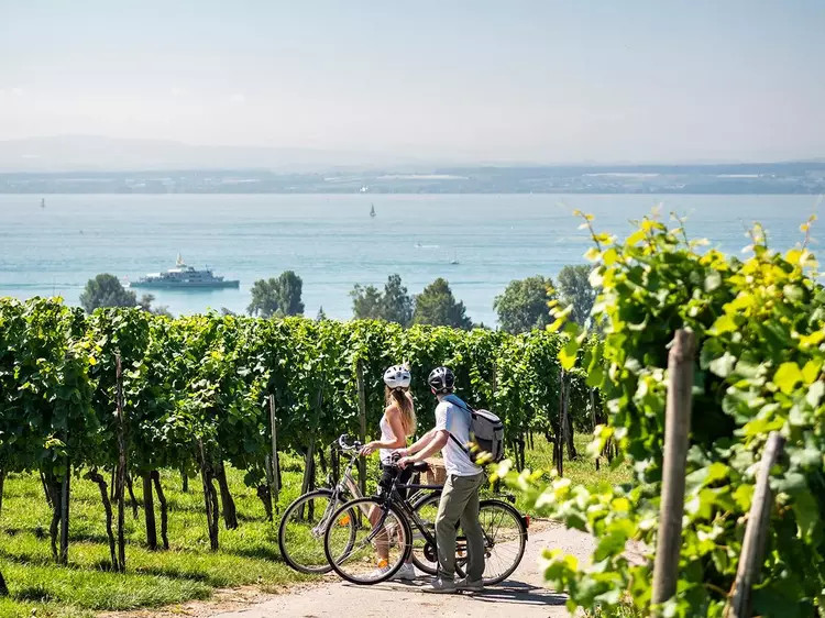 Foto: Deutsche Bodensee Tourismus GmbH, Dieter Denger Radfahrer in den Weinbergen