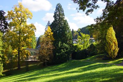 Kur- und Schlosspark Badenweiler, Parkansicht
