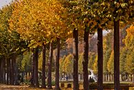 Foto: Staatliche Schlösser und Gärten Baden-Württemberg, Ursula Wetzel Der Schwetzinger Schlossgarten im Herbst