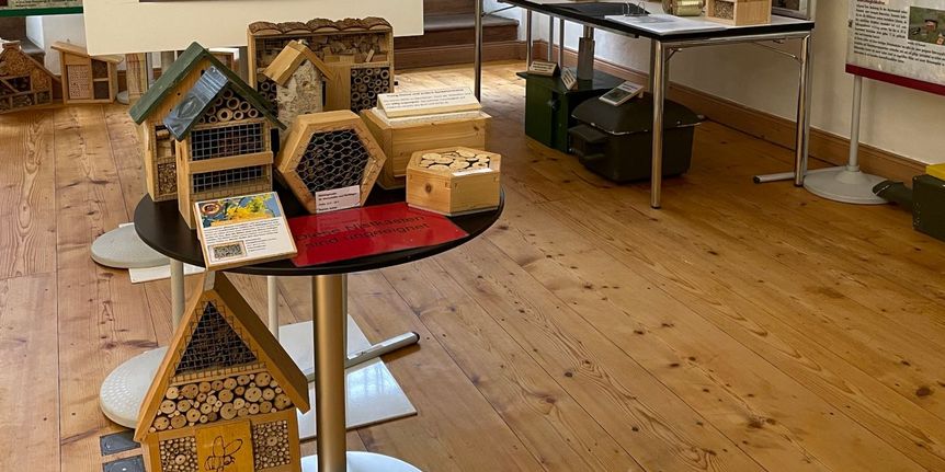 Schloss und Schlossgarten Weikersheim, Event, Ausstellung Wildbienen