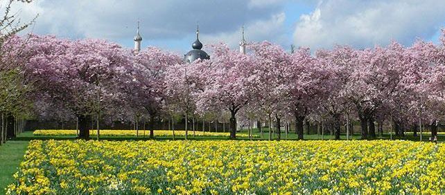 Schloss und Schlossgarten Schwetzingen, Schlossgarten im Frühling