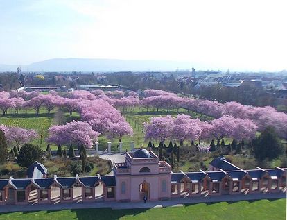 Schlossgarten Schwetzingen