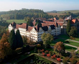 Kloster Salem aus der Luft