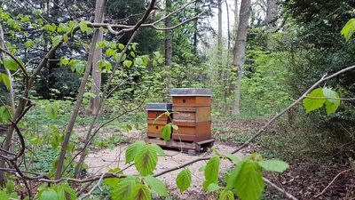 Schloss Favorite Rastatt, Bienenstöcke; Foto: Staatliche Schlösser und Gärten Baden-Württemberg, Magda Ritter