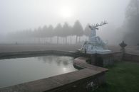 Hirschgruppe im Nebel Hirschgruppe im Nebel